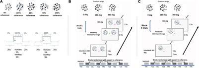Visual Motion Coherence Responses in Human Visual Cortex